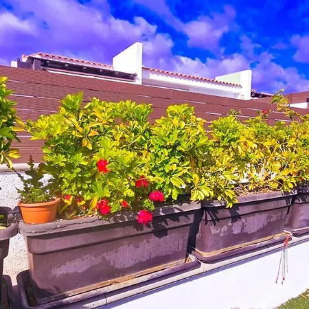 La Bendita En Villa Maspalomas (Gran Canaria)