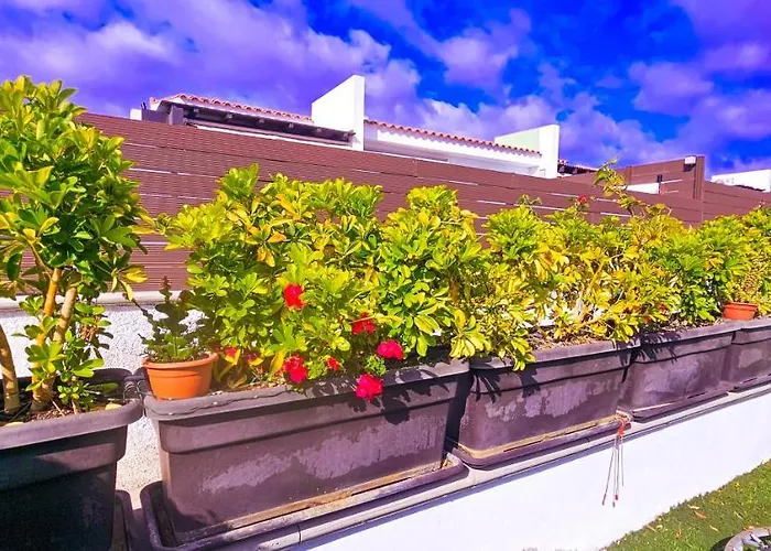 La Bendita En Villa Maspalomas (Gran Canaria)
